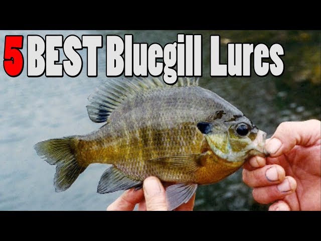 TOP 5 Bluegill Sunfish Lures 