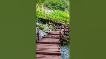 سورة الكوثر بصوت القارئ عثمان مشعل الحداد #راحة_نفسية#قرآن #قراء_القرآن_الكريم #المصحف #سورة_الكوثر