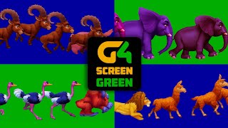 New Animals Running 3D Video Stampede P2 | Cartoon Animal Green Screen | 3D Janwar With Sound Effect