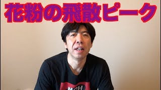 花粉の飛散ピーク