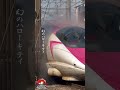 [幻のハローキティ] 霧の中に消えていく…。新幹線が魅せる「魔法の洗車」が美しすぎる。(海外の反応)