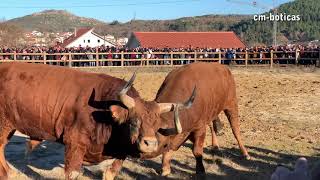 Bullfight - Chega De Bois - Jardel Vs Jóia | 2019 | Boticas