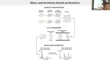 EuroBioC 2025 Workshop: msqrob2: robust modelling workflow for mass spectrometry-based proteomics