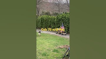 Cub cadet 70 with USA flag #cubcadet #tractor #cub #vintage #redneck