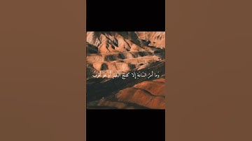 سورة النحل بتلاوة الشيخ خالد الجليل #قرآن_كريم #سورة_النحل #الشيخ_خالد_الجليل #تلاوة_خاشعة #fyp
