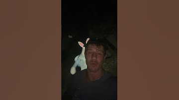 Bunnyman Attacked Me…