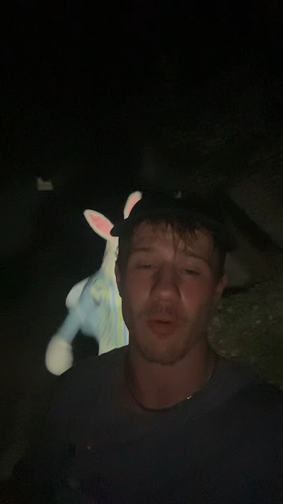 Bunnyman Attacked Me…