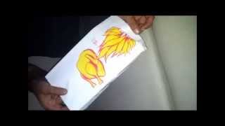 Tavuk Poşeti Chicken Bag Kervanambalaj