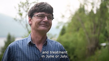 INTRODUCTION – handbook for “Alternative methods for Varroa control in honey bee colonies”