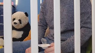 Adult Diaper Storytime: The Crinkle of Deception. Forced to live as a baby