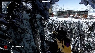 *NEW* Call Of Duty Black Ops Glitch on Array + One "Old" Glitch