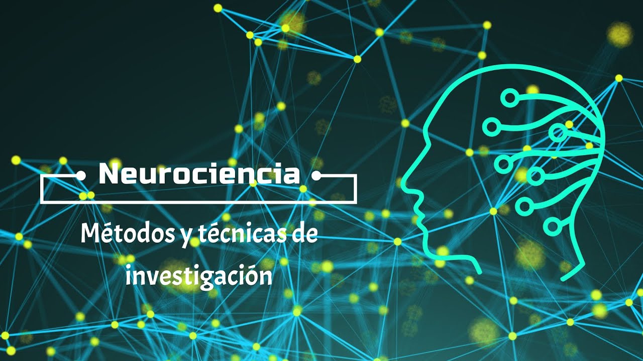 Metodo De Estudio De La Neurociencia www.youtube.com
