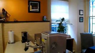 MVI_0342.AVI