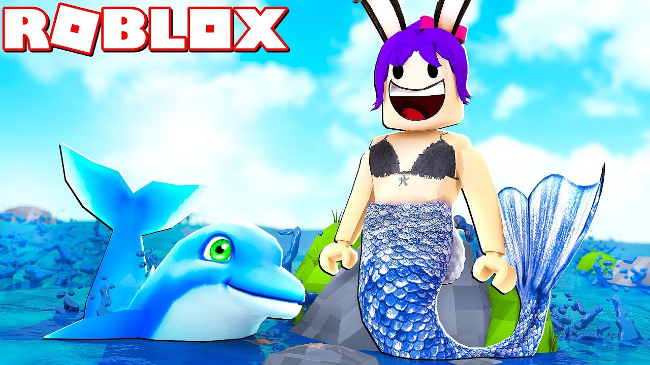 Mi Vida De Sirena Con Mi Delfín Roblox Mermaid Life - top 3 mejores mapas en mi opinion roblox amino amino