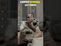 😹 Incredible Cat Videos That Feel Unreal #cats #funnycats #shorts #ranking #catvideos