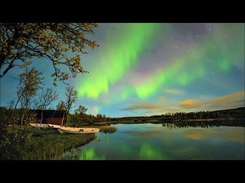 Дерево жизни... Потрясающе красивая, воодушевляющая и мотивационная музыка Yakuro! Послушайте!