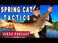 Tactics for Catching Spring Catfish