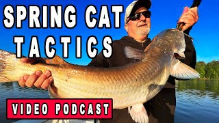 3 surefire baits for catching spring catfish