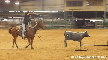 LB Smart Chic - roping #2 - ValleyViewRanch.net