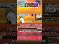 検証】西表島をできるだけ節約して攻略したらいくらになるの？　【にゃんこ大戦争】 #にゃんこ大戦争 #ゲーム #検証 #西表島#節約