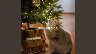 Subtle Backdrops for Cat Friendly Puppy