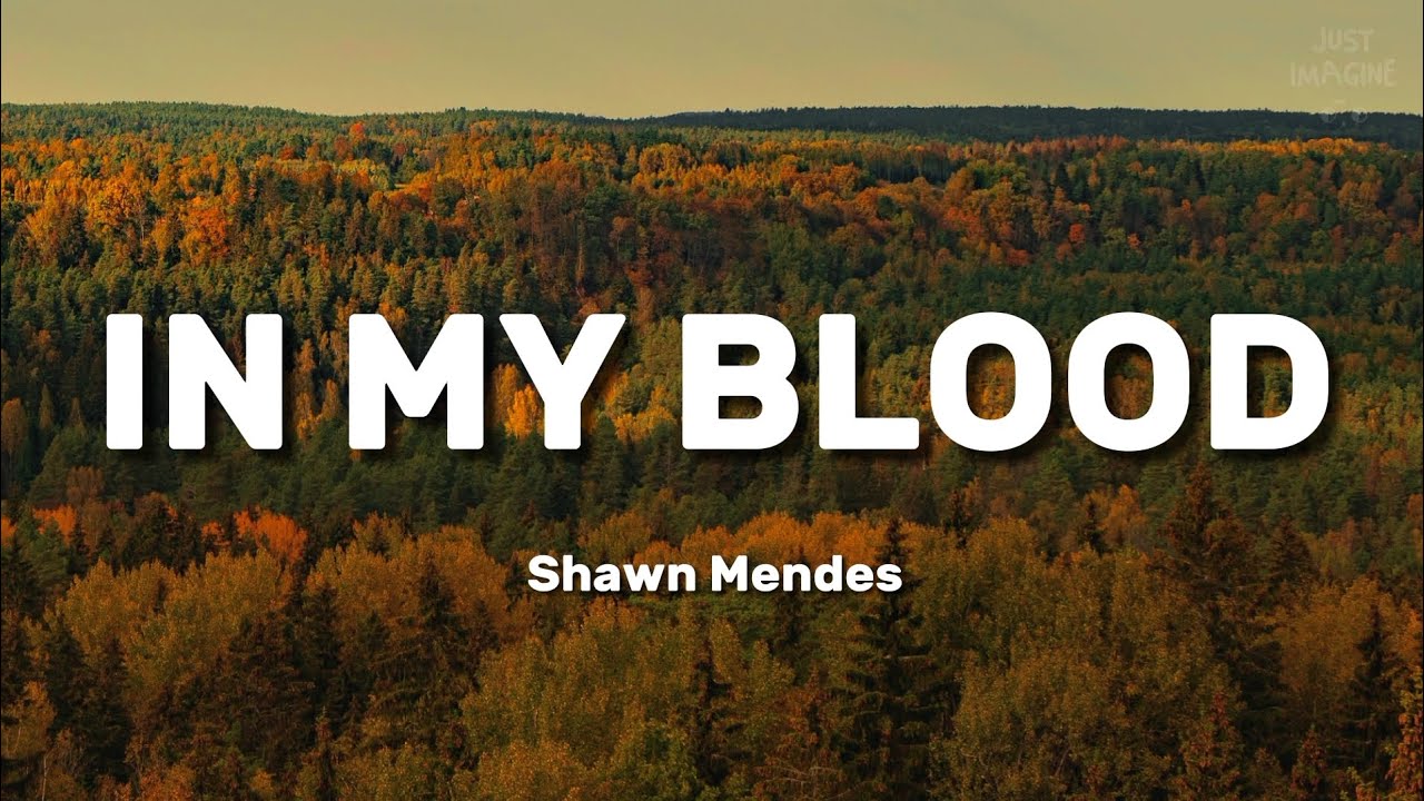 In My Blood | Shawn Mendes | lyrics - YouTube
