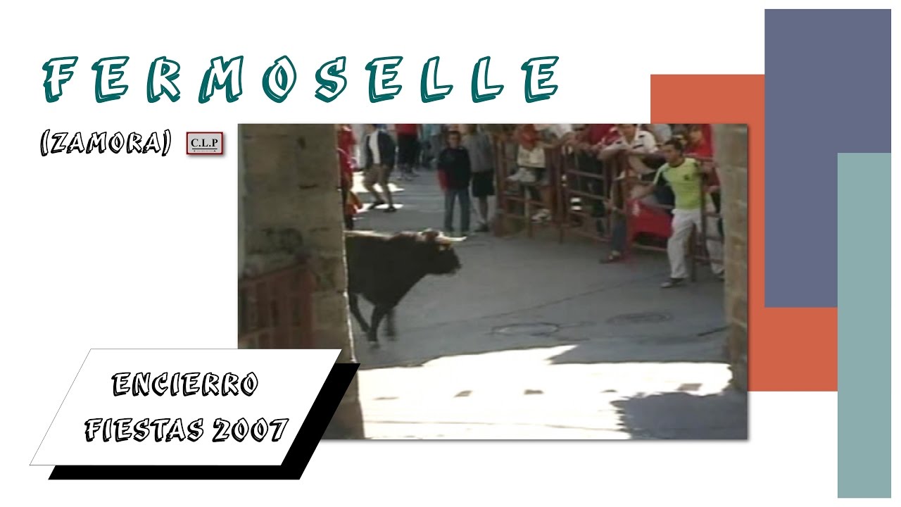 Fermoselle (Zamora). Encierro fiestas 2007