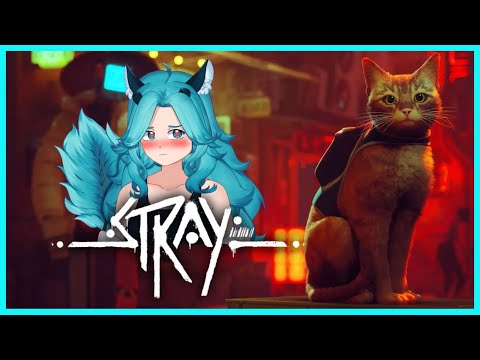 STRAY | A lost Giraffe-Cat Day 2