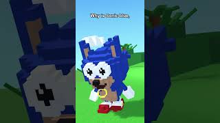 Why Sonic Is Blue 🤔