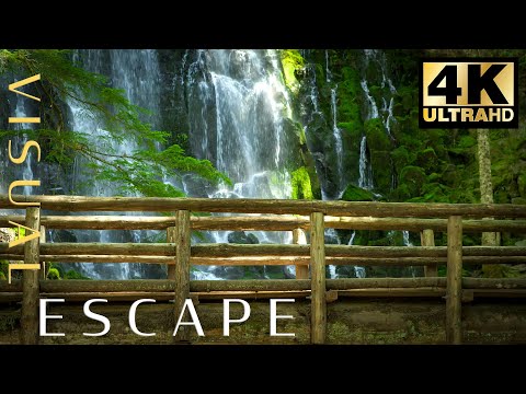 Over 4hrs of Relaxing Waterfall and Nature Sounds – Romona Falls – Study, Mindfulness, Sleep.