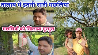 अचनक तलब म इतन मछलय कह स आए Talab Men Etni Machhali Video Vlog