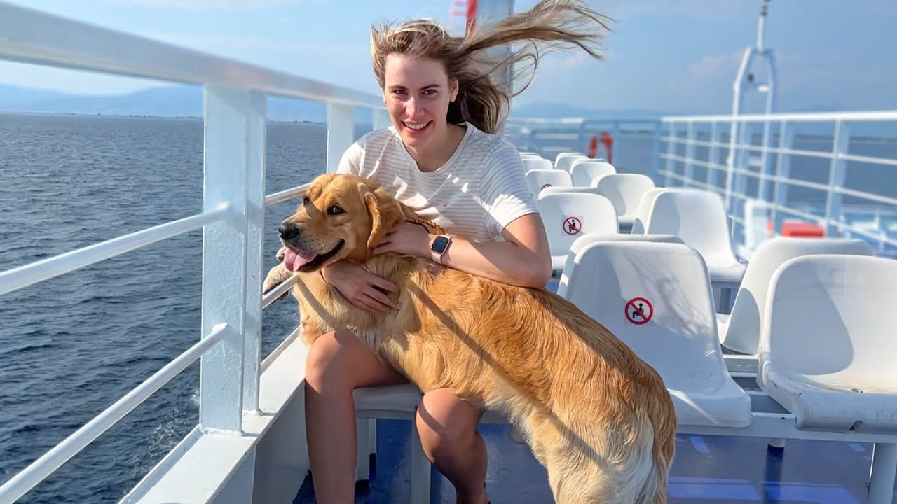 Taking My Golden Retriever on a Boat Trip For The First Time YouTube