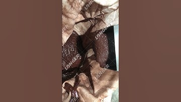 Cocoa Oil Press Machine From Longerinc.com