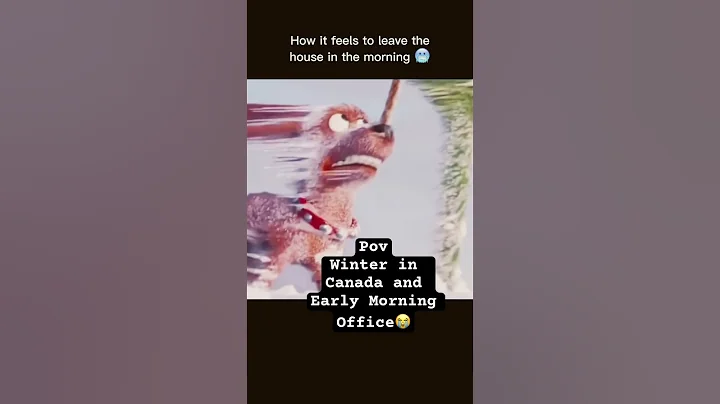 Winter in Canada #winter #reel #snow #snowfall #meme #shorts #short #viralreels #lifeincanada #cold