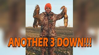 ANOTHER 3 Squirrels Down!! by The Michigan Show 233 views 1 year ago 12 minutes, 29 seconds
