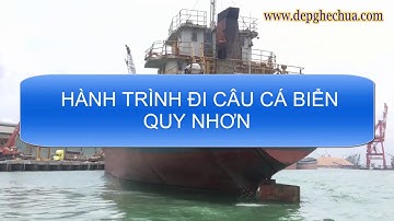 Hành trình câu cá biển Quy Nhơn - Bình Định