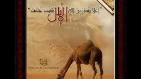 سورة الغاشية الشيخ محمد البراك