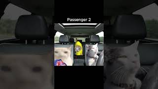 The Passenger Banana Cat Part - 1 ( Reality 🚖🧑‍✈️  ) #funnycats #catmemes #funny #fyp #shorts
