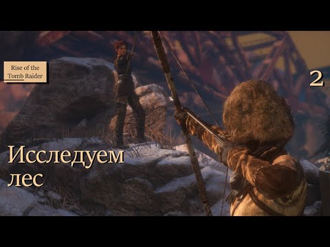 Видео: Исследуем лес - 2 - Rise of the Tomb Raider