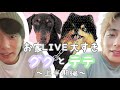 【BTSの魅力】すぐARMYに会いたくなっちゃうグクとテテ