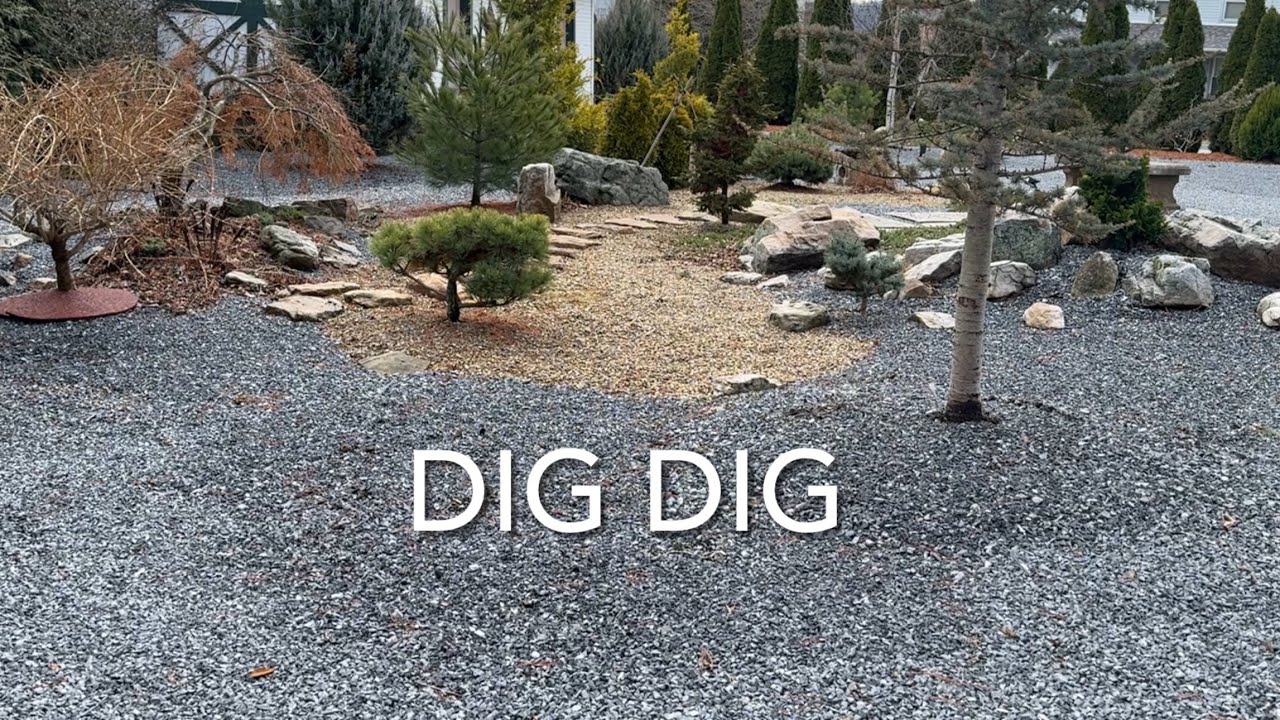 Dig Dig