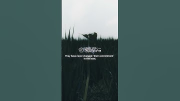 Surah Al-Ahzab - Muhammad Al-Luhaidan | سورة الأحزاب - محمد اللحيدان
