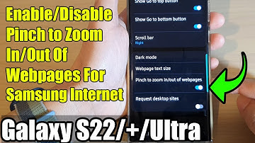Galaxy S22/S22+/Ultra: How to Enable/Disable Pinch to Zoom In/Out Of Webpages For Samsung Internet