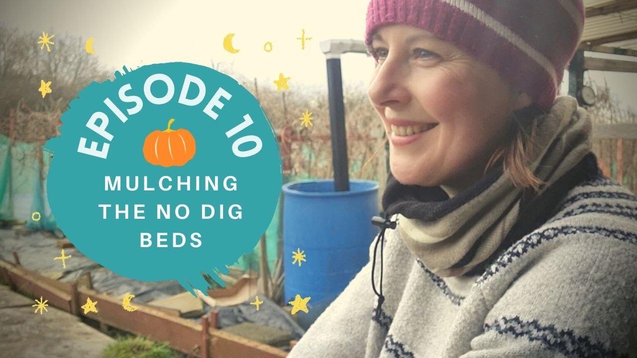 Ep10: Compost delivery! Mulching the no-dig beds & a new addition to ...