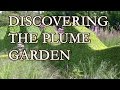 Discovering The Plume garden