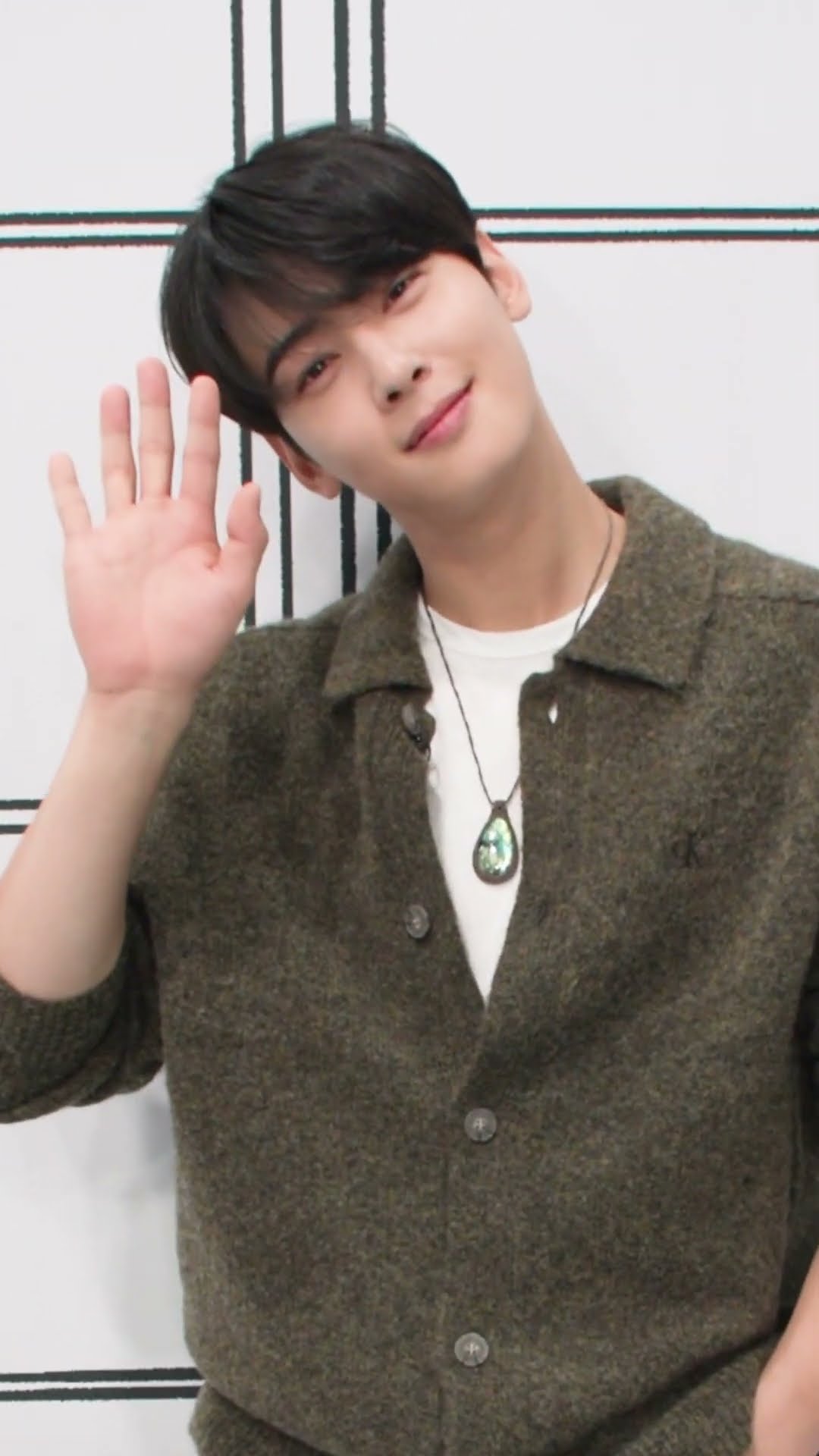 Cha Eun-woo's face is covered with handsome✨ #RentedInFinland