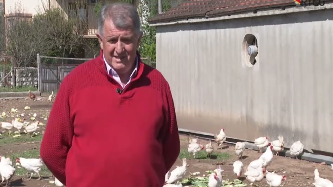 FARMA VUJOVIC  1000 KOKOSAKA