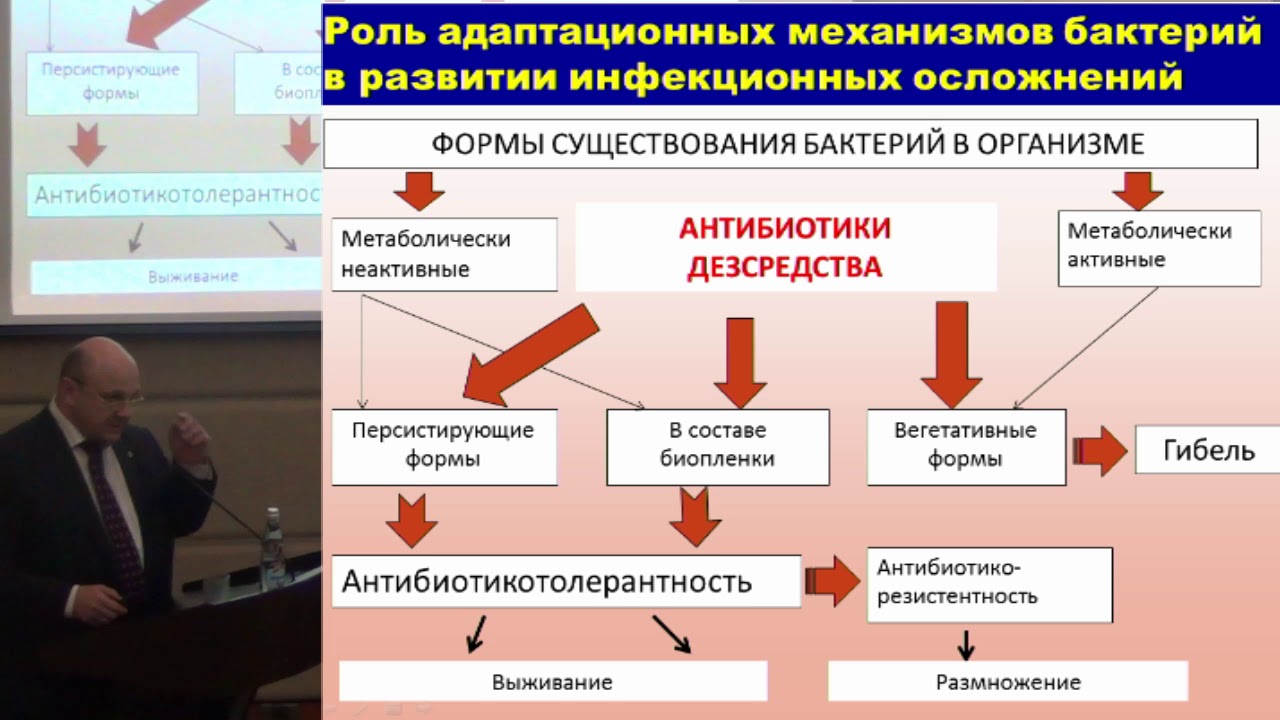 Научные направления рф