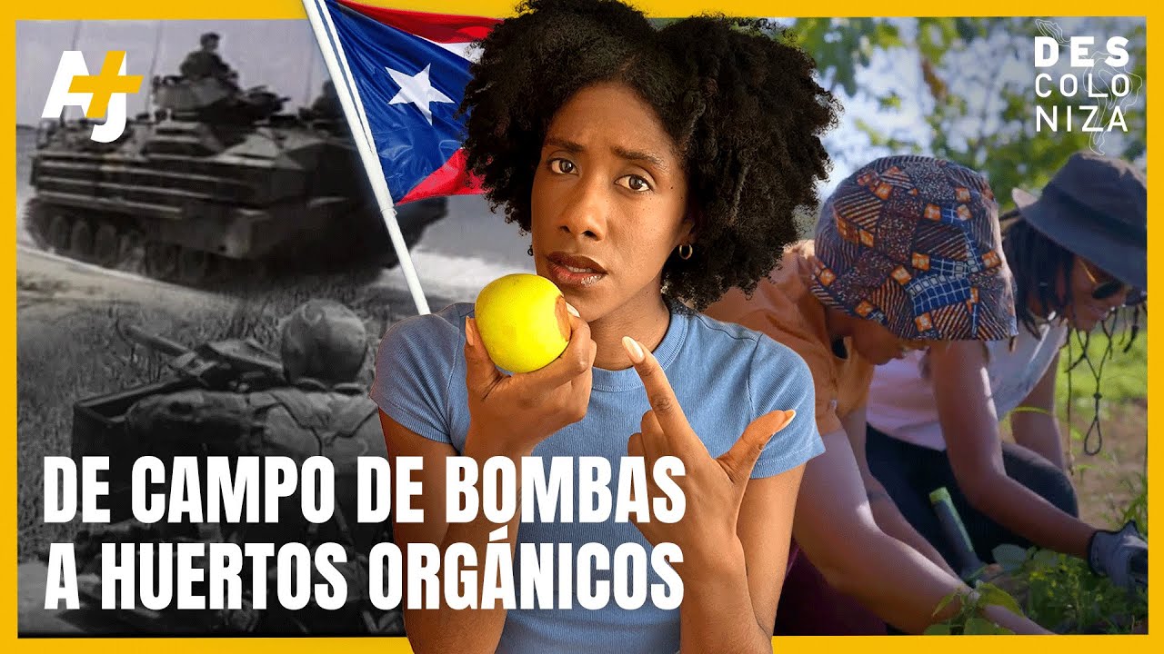 ¿Por qué Puerto Rico importa el 85% de su comida? La historia del control de EE.UU. | @ajplusespanol