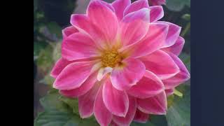 LE MIE PIU' BELLE FOTO SU FLICKR (MY BEST PHOTOS ON FLICKR)